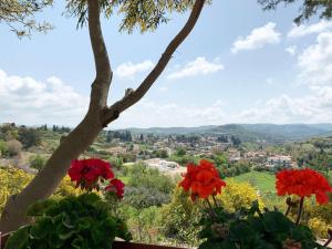 Cosmema house 2 Studio with great mountain view