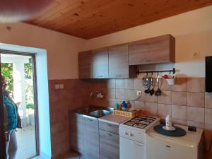 Apartments Zankolic