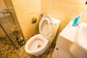 Hanoi DCapitale Luxury Serviced Apartment