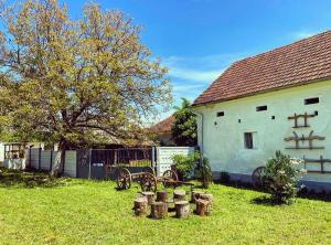 Hățăgel Country House