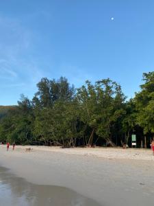 Flower Garden Self-Catering Apartments