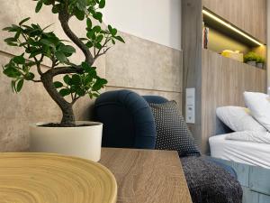 Beautiful studio for couples with Air Conditioning - Old Town & Main station