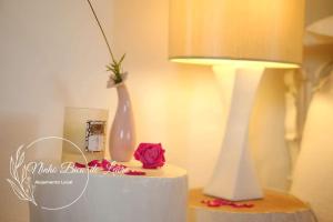 Ninho Bico-de-Lacre ~ o paraíso é ana Terra