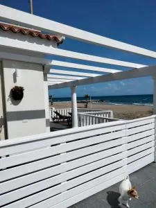 Villa Clementina - ليدو دي فوندي