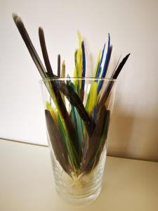 Appartements Le grand briochin : photos des chambres