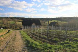 Utopia Dom przy winnicy