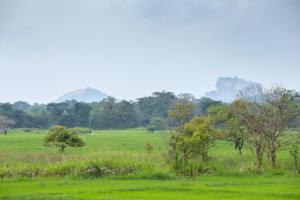The Hideout Sigiriya