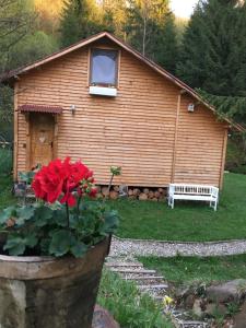 Homoród Lodge