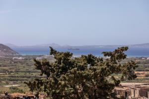 Stamatina House Naxos Greece