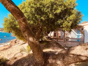 Valinco Village photo 6
