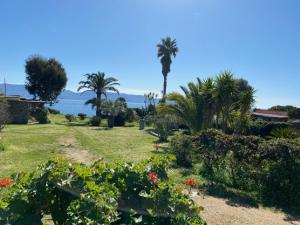 Valinco Village photo 18