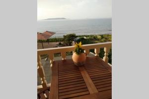 Flokos. Lazy days, balmy nights on the seafront Heraklio Greece