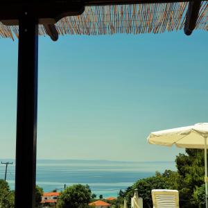 Pomme de la mer Halkidiki Greece