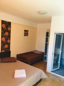 Casa Tudor Costinesti