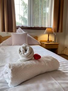 Standard Double Room room in Hotel Habenda