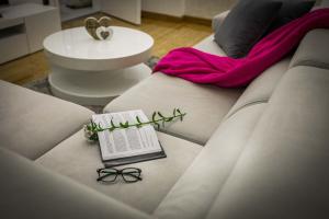 APARTMAN SIMIC - STAN NA DAN