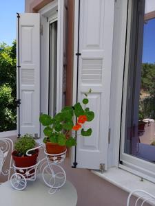 Andros Lighthouse Apartments Andros Greece
