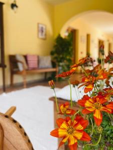 S'Arenada Hotel - Adults Only img34