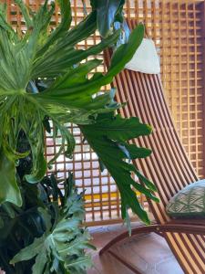 S'Arenada Hotel - Adults Only img37