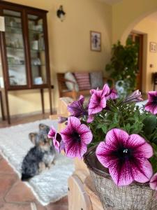 S'Arenada Hotel - Adults Only img42