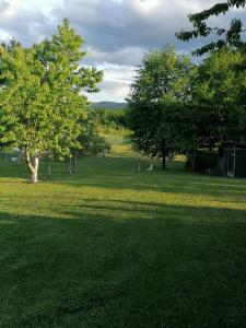 Apartment & Rooms Arija 