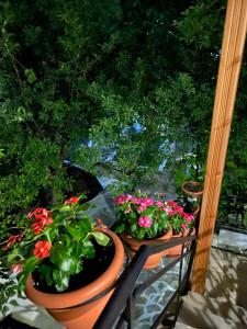 Sevastie’s home Nisos-Samothraki Greece