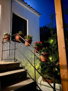 Sevastie’s home Nisos-Samothraki Greece