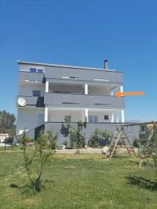 Ante Noa - 波吉卡