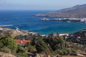 Panoramic Villa with Breathtaking Views Andros Greece