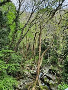 Archontiko Konaki Pelion Greece