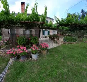 Apartma Fiorina - Letalisce Porforoz