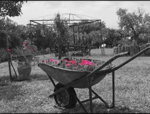 Il Nuraghe del lago Coghinas img93