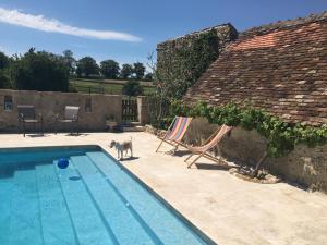 B&B / Chambres d'hotes Chateau Mareuil : photos des chambres