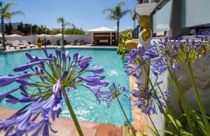 Room in BB - Family Suite For 4 Chania Greece