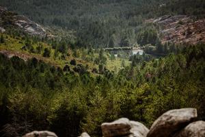 Vallicciola Nature Hotel img60