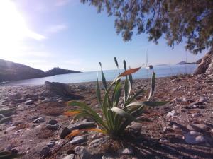 House by the sea Kythnos Greece