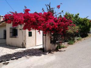 Comfy house with private garden & view, close to Kyparissia Castle Messinia Greece