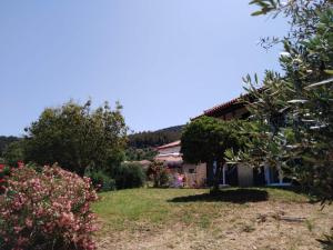 Comfy house with private garden & view, close to Kyparissia Castle Messinia Greece