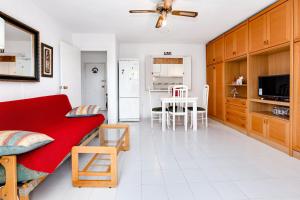 093 - Mil Palmeras Dream