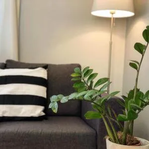 Helianthus Apartments - Argostoli