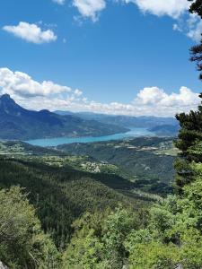 Le grand cerf le Pelvou