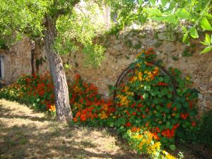 Double Room room in Agroturisme Son Pons