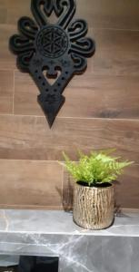 Apartament przy jeziorze Czorsztynskim