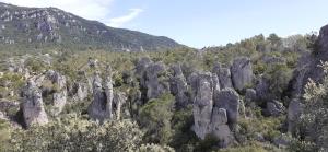 Appartements Grand Studio Entre Lac Et Garrigue : photos des chambres