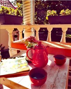 Vrdnik apartmani Sara