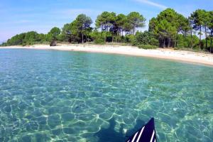 Appartements MARINE DE Bravone pieds dans l'eau : photos des chambres