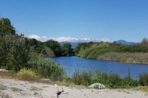 Appartements MARINE DE Bravone pieds dans l'eau : photos des chambres