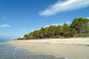 Appartements MARINE DE Bravone pieds dans l'eau : photos des chambres