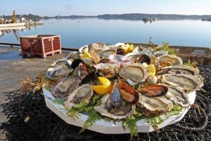 Appartements MARINE DE Bravone pieds dans l'eau : photos des chambres