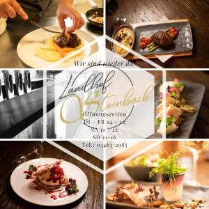 Landhof Steinbäck - 施泰因茨